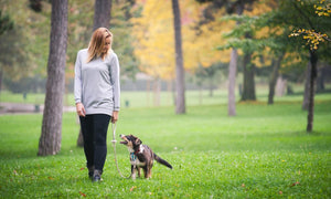 7 Essential Things You Need To Walk Your Dog