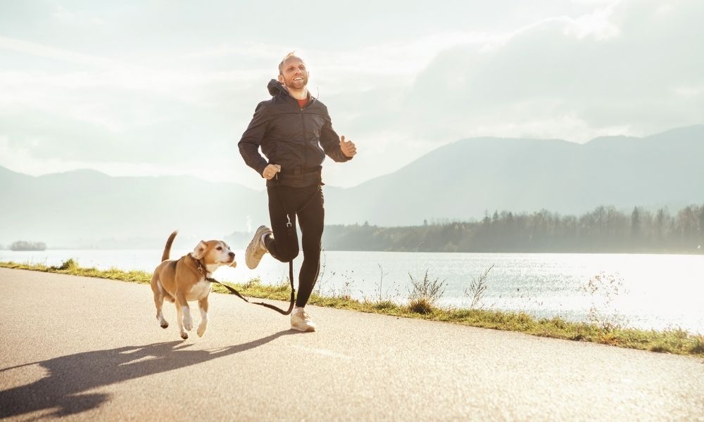 4 Tips To Train Your Dog To Run With You