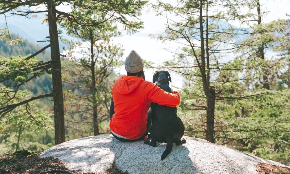 The Top 5 Dog-Friendly Hiking Trails in the US
