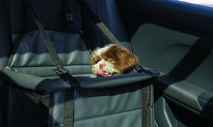 How To Install a Dog Seat in Your Own Car