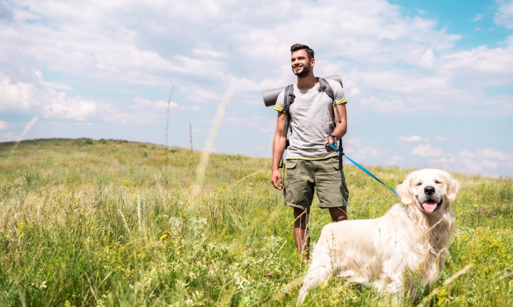 The Top 5 Easiest Dog Breeds To Take On Walks