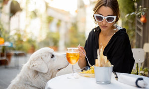 Etiquette Tips To Follow When Dining Out With Your Dog