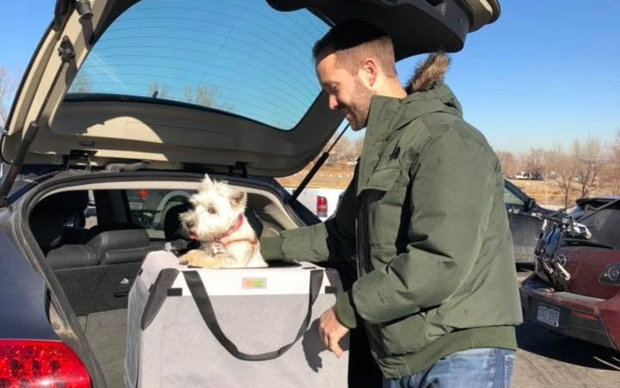 Small white dog in a foldable travel crate in the cargo area of an SUV during car travel.