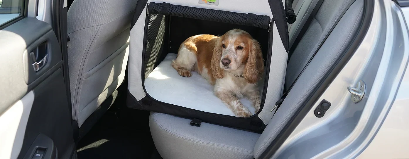 Dog resting inside a foldable travel crate on the back seat of a car during a road trip.