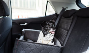 Small black and white dog sitting in a pet car seat in the backseat of a car.