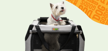 Foldable Soft-Sided Travel Dog Crate with Shades and Seatbelt Loops
