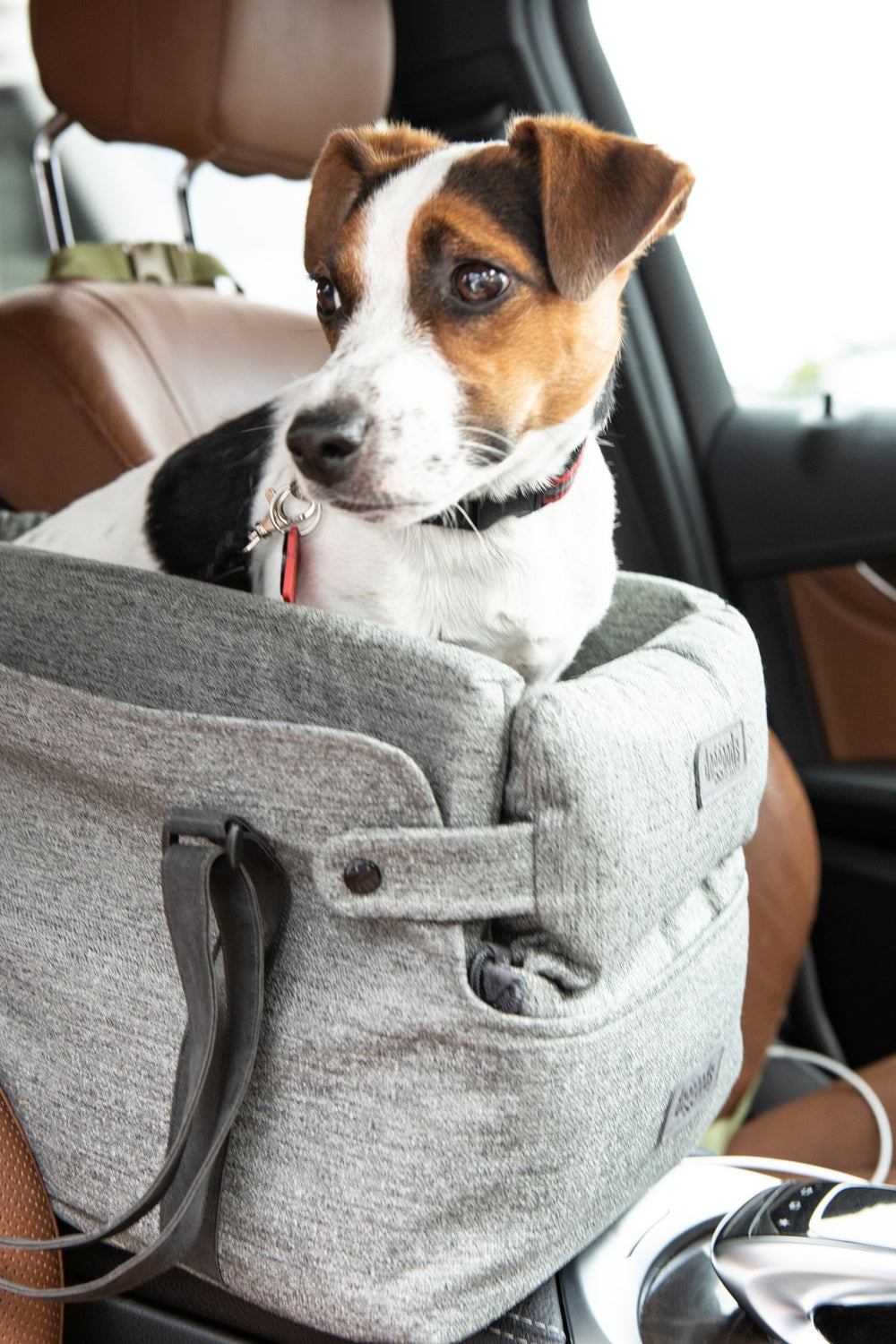 Center Console Dog Seat for Small Dogs | DogGoods