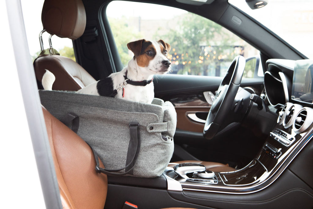 Small Dog Carrier Tote Bag & Dog Car Bed for Car Center Console by DogGoods ™