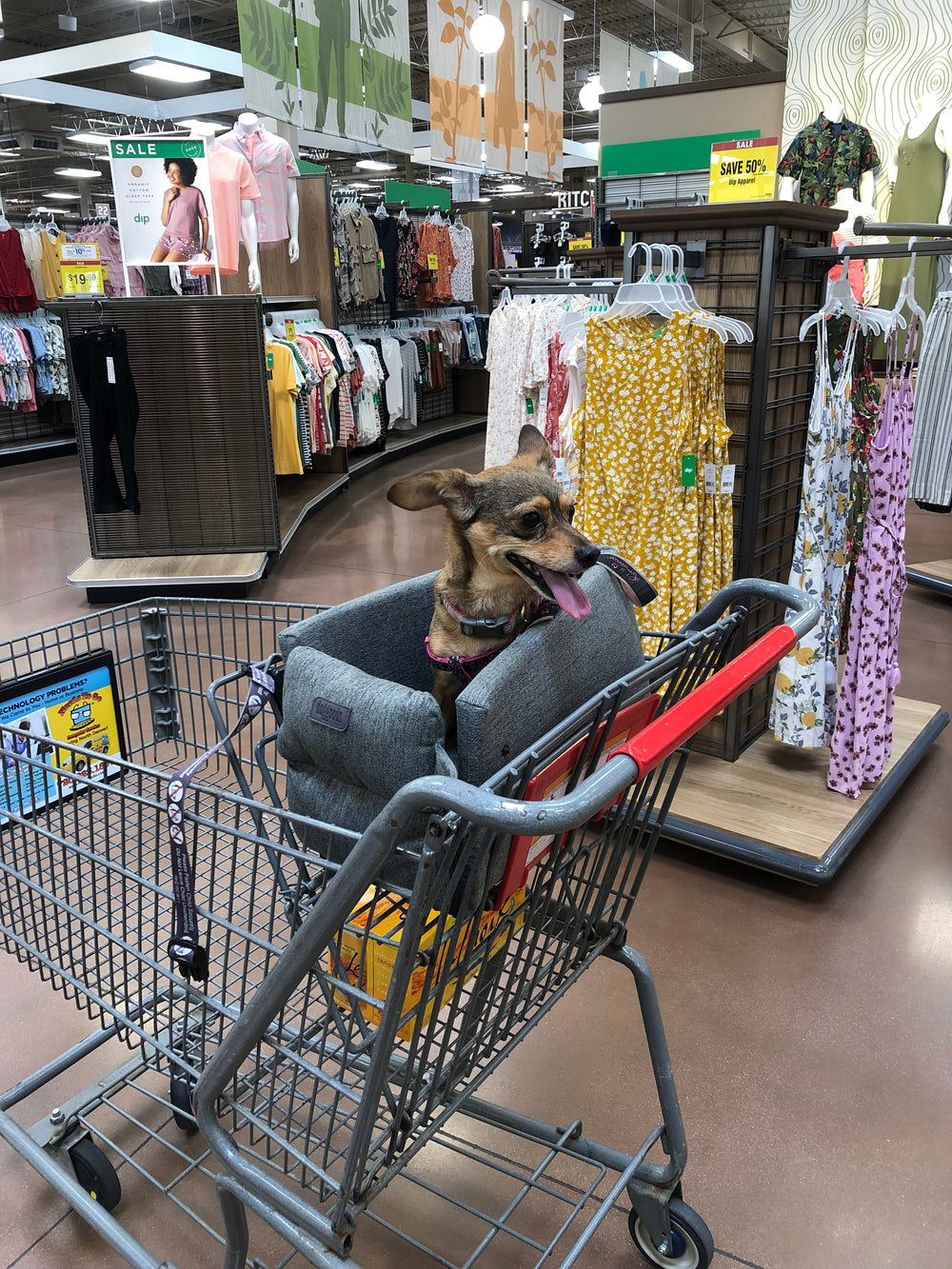 Small Dog Carrier Tote Bag & Dog Car Bed for Car Center Console by DogGoods ™