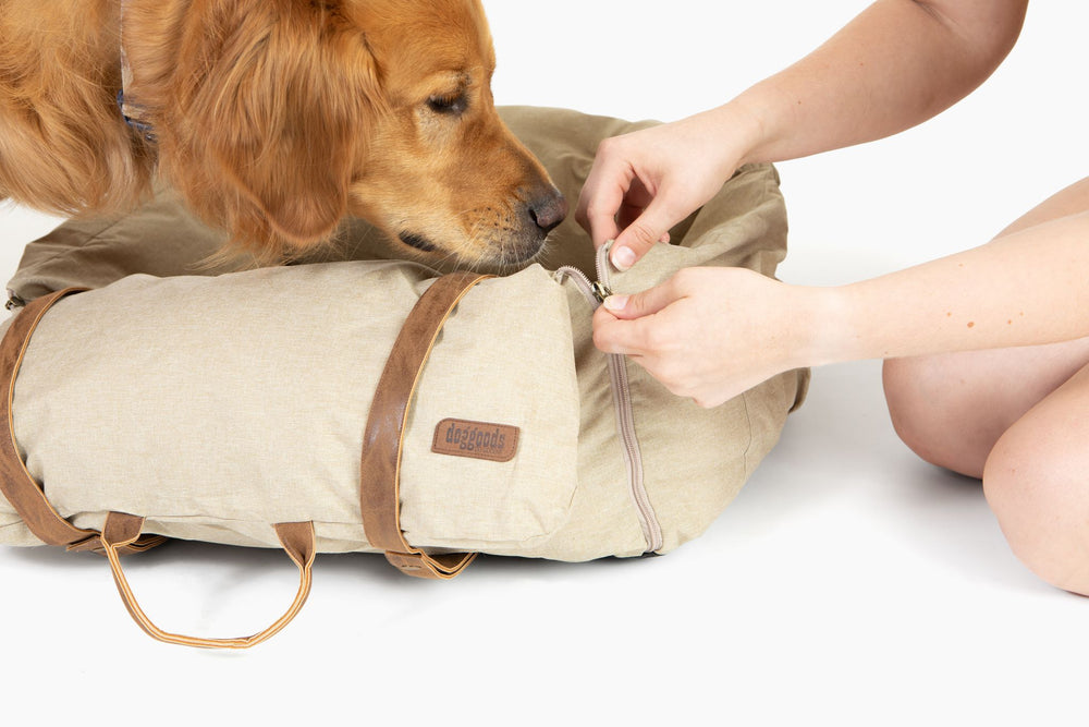 Car Bed for Dogs